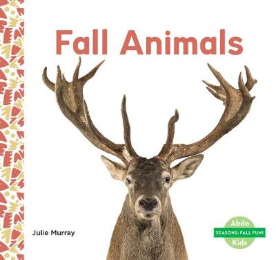Book cover for Fall Animals