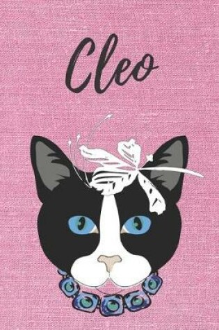 Cover of Cleo Katzen-Malbuch / Notizbuch Tagebuch