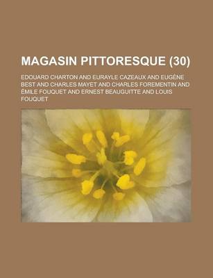 Book cover for Magasin Pittoresque (30 )