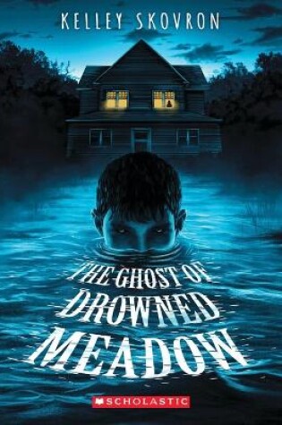 Cover of The Ghost of Drowned Meadow