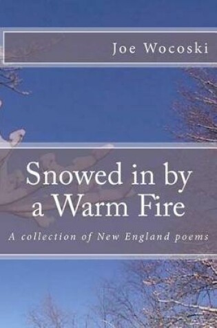 Cover of Snowed in by a Warm Fire