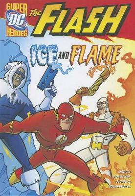 Book cover for Ice and Flame (the Flash)