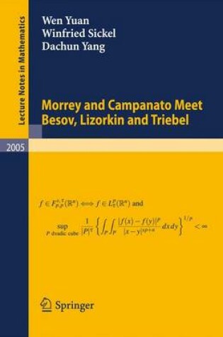 Cover of Morrey and Campanato Meet Besov, Lizorkin and Triebel