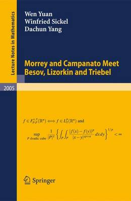 Cover of Morrey and Campanato Meet Besov, Lizorkin and Triebel