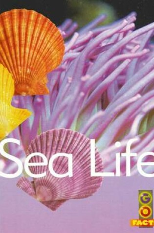 Cover of Sea Life