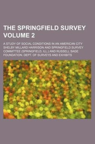 Cover of The Springfield Survey; A Study of Social Conditions in an American City Volume 2