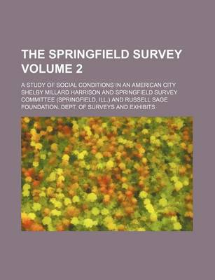 Book cover for The Springfield Survey; A Study of Social Conditions in an American City Volume 2