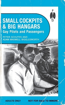 Book cover for Small Cockpits and Big Hangars