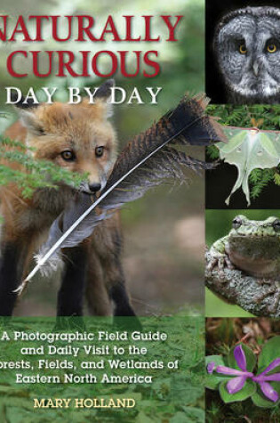 Cover of Naturally Curious Day by Day