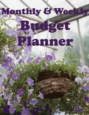 Book cover for Monthly & Weekly Budget Planner