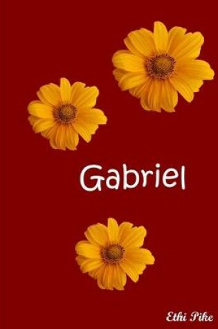 Cover of Gabriel