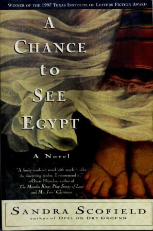Cover of Chance to See Egypt