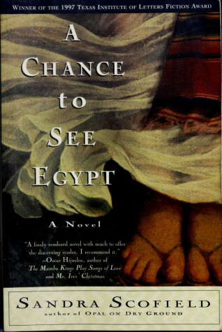 Book cover for Chance to See Egypt