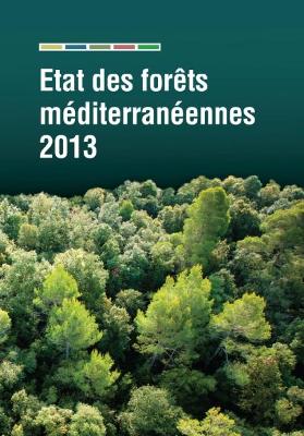 Book cover for Etat Des Forets Mediterraneennes 2013