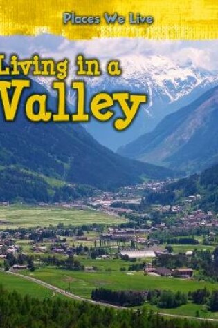 Cover of Living in a Valley