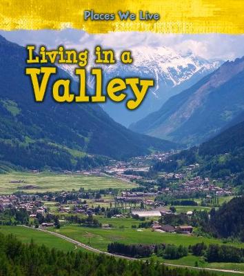 Book cover for Living in a Valley