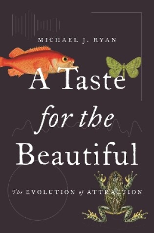 Cover of A Taste for the Beautiful