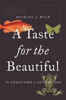 Book cover for A Taste for the Beautiful