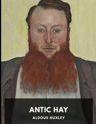 Book cover for Antic Hay annotated