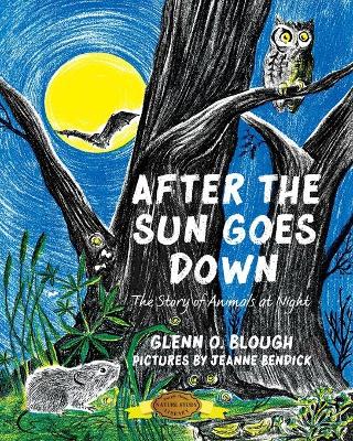 Book cover for After the Sun Goes Down