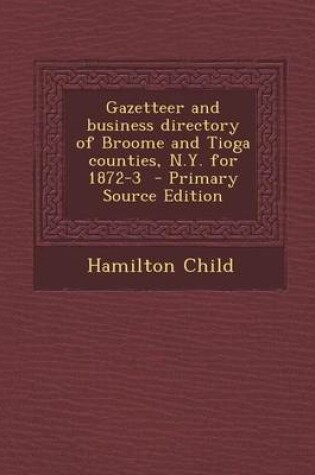 Cover of Gazetteer and Business Directory of Broome and Tioga Counties, N.Y. for 1872-3 - Primary Source Edition