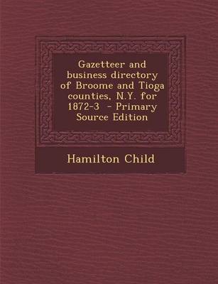 Book cover for Gazetteer and Business Directory of Broome and Tioga Counties, N.Y. for 1872-3 - Primary Source Edition