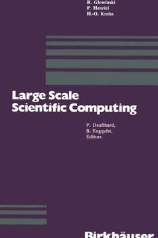 Cover of Large Scale Scientific Computing