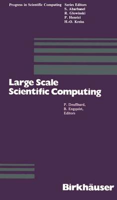 Book cover for Large Scale Scientific Computing