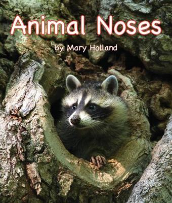 Book cover for Animal Noses