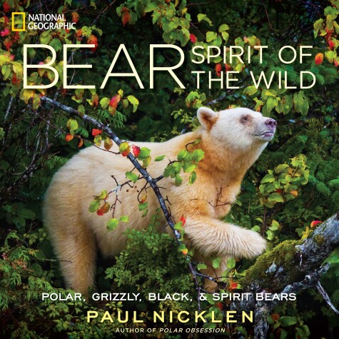 Book cover for Bear