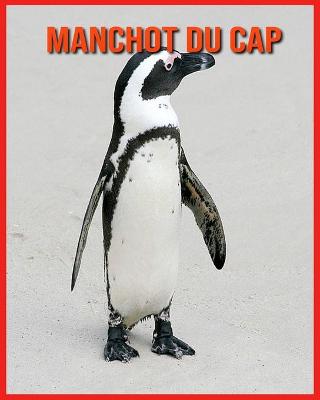 Book cover for Manchot du Cap