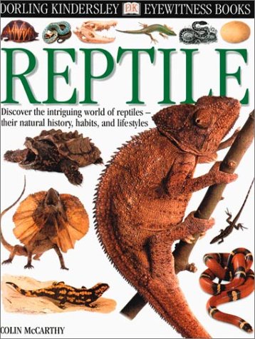 Book cover for Reptile