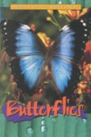 Cover of Butterflies