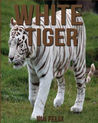 Book cover for White Tiger