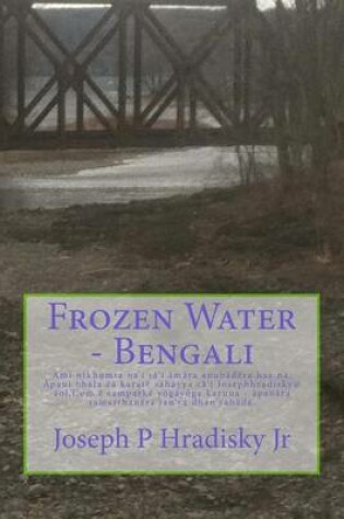 Cover of Frozen Water - Bengali