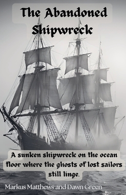 Book cover for The Abandoned Shipwreak