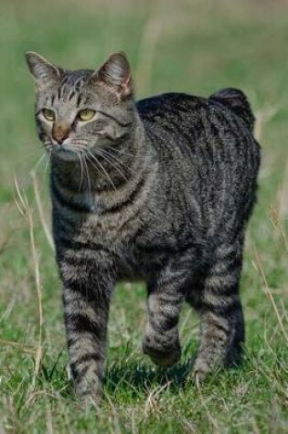 Cover of The Manx Cat Journal "A-Hunting We Will Go..."