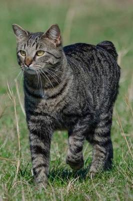 Book cover for The Manx Cat Journal "A-Hunting We Will Go..."