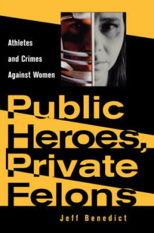 Cover of Public Heroes, Private Felons