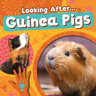 Cover of Guinea Pigs