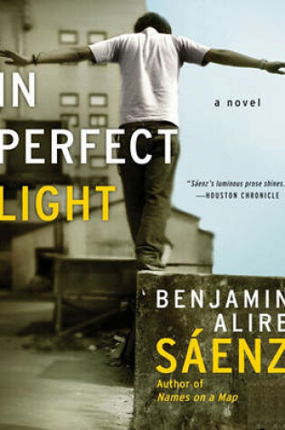 Cover of In Perfect Light