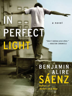 Book cover for In Perfect Light