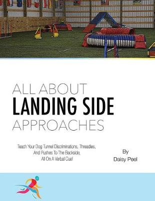 Book cover for All about Landing Side Approaches