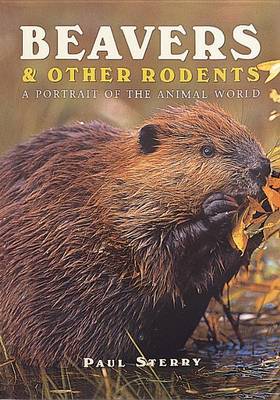 Cover of Beavers and Other Rodents