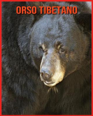 Book cover for Orso Tibetano