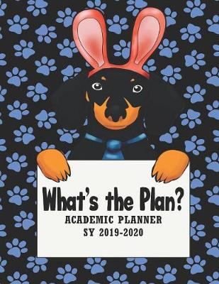 Book cover for What's the Plan?