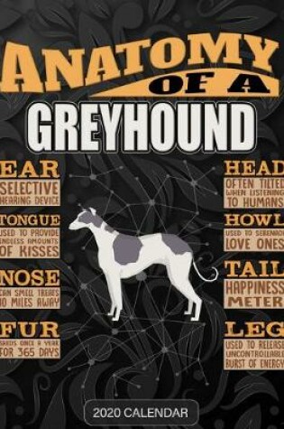 Cover of Anatomy Of A Greyhound