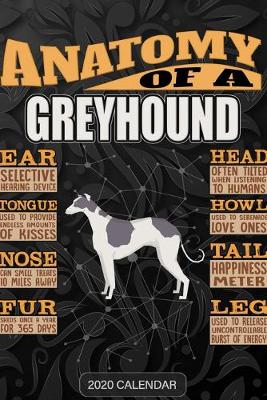Book cover for Anatomy Of A Greyhound