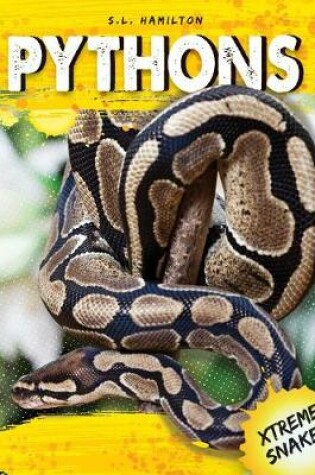 Cover of Pythons