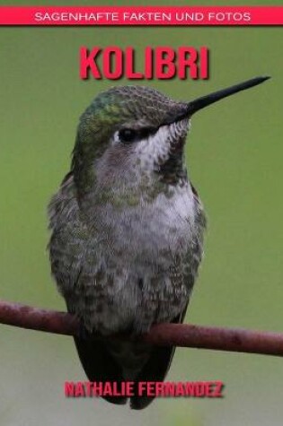 Cover of Kolibri